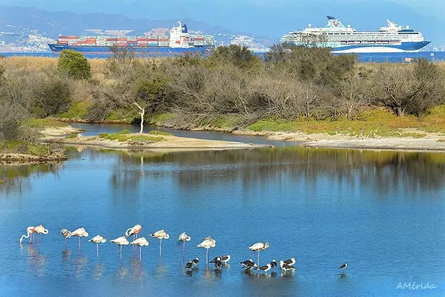 paisaje malaga